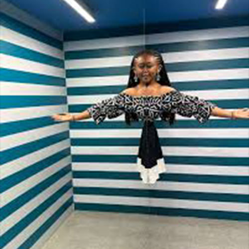 Museum of Illusions